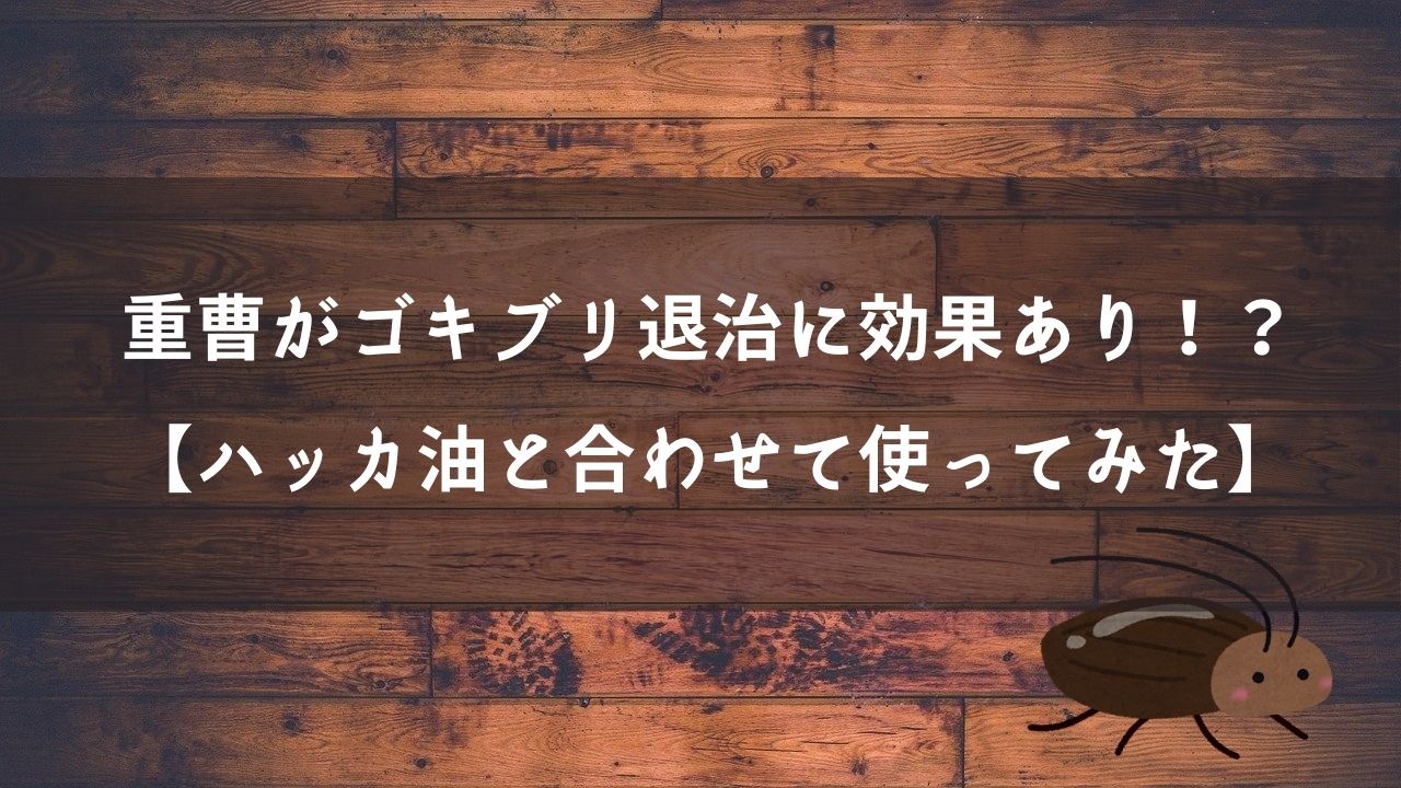 重曹がゴキブリ退治に効果あり！？【ハッカ油と合わせて使ってみた】