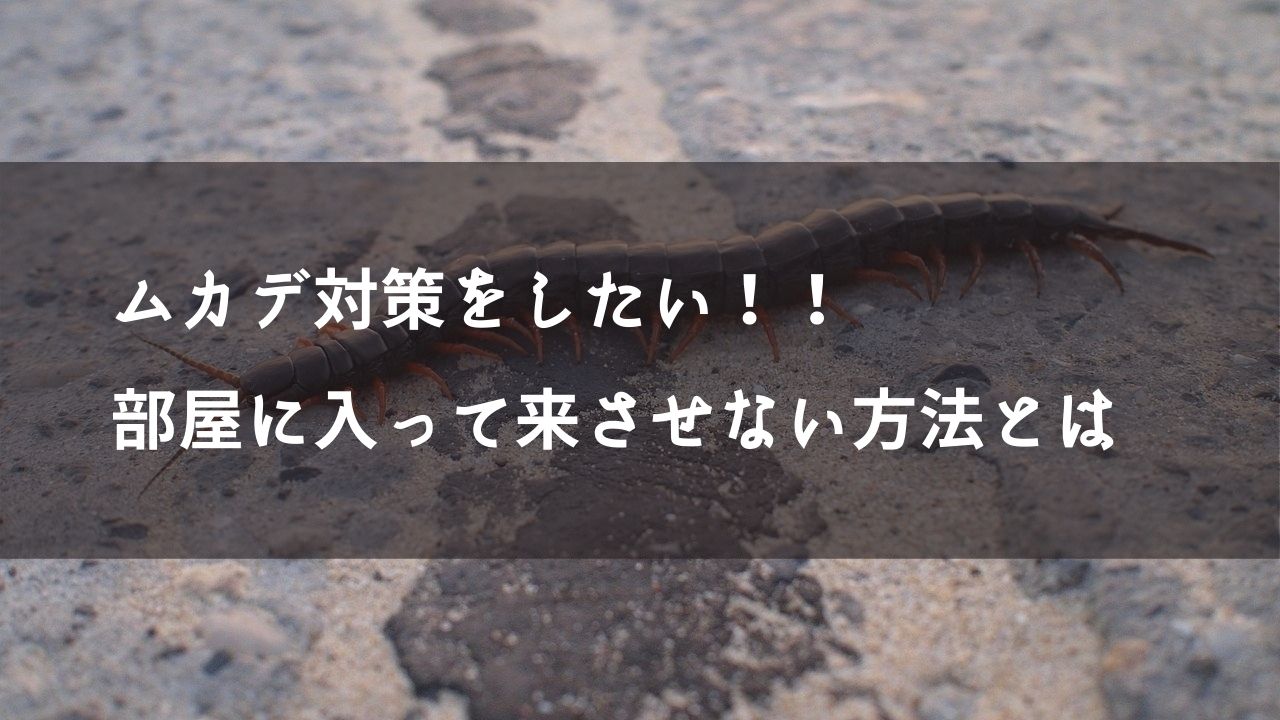 ムカデ対策をしたい！！部屋に入って来させない方法とは…