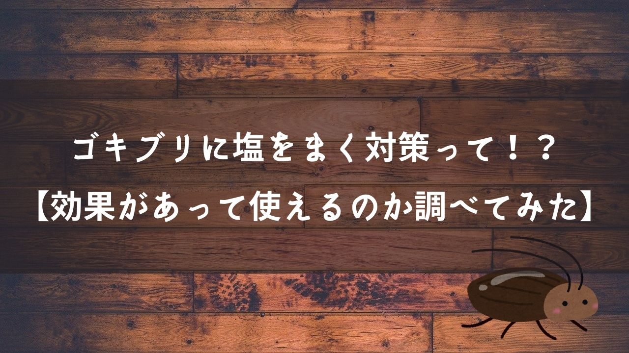 ゴキブリに塩をまく対策って 効果があって使えるのか調べてみた 害虫バーーーン