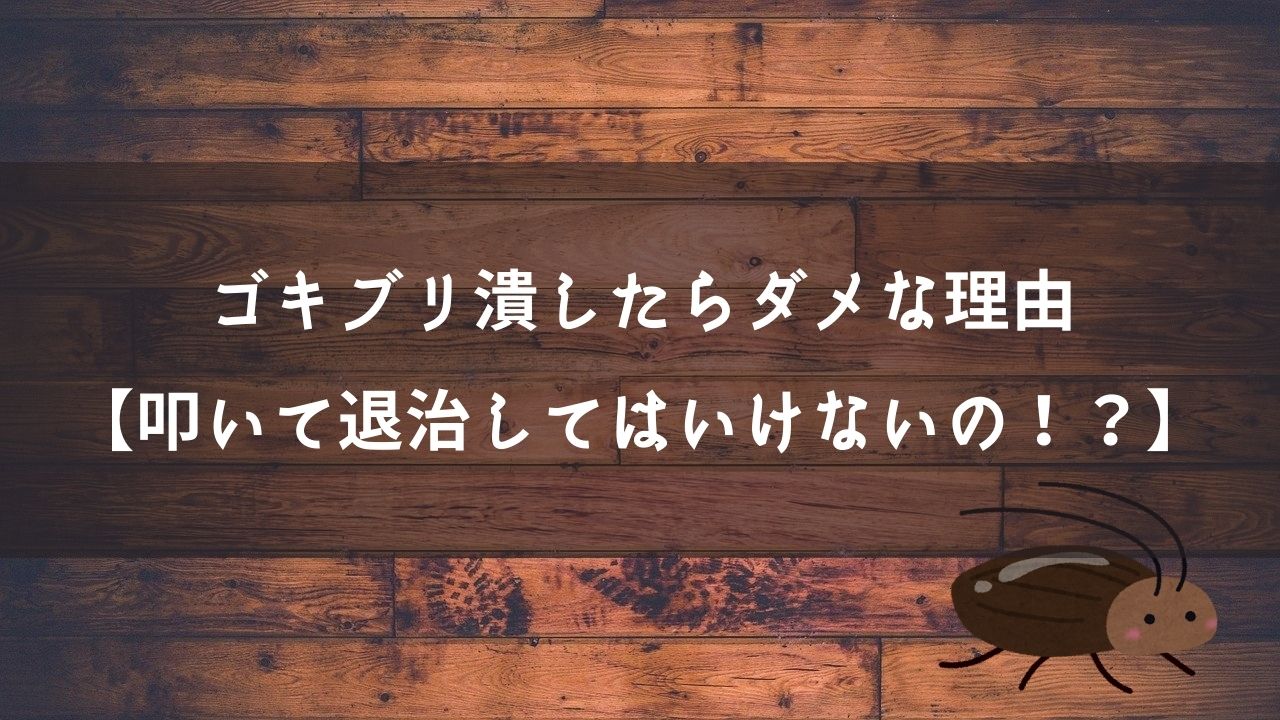 ゴキブリ潰したらダメな理由【叩いて退治してはいけないの！？】