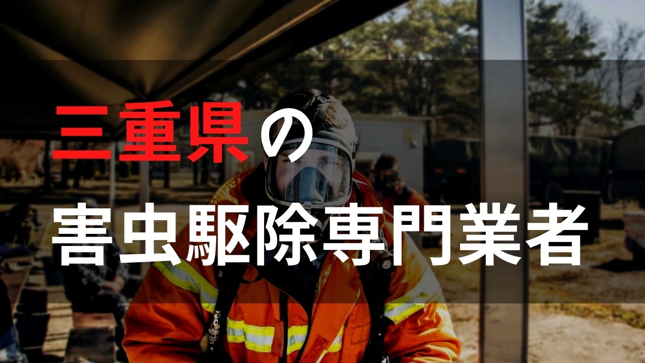 害虫駆除を三重県で依頼するなら！？【実績重視！口コミ・評判の良いおすすめ業者を紹介】